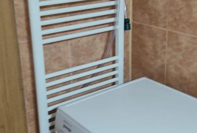 De inchiriat apartament spatios in Piata Centrala, 320 euro - 7