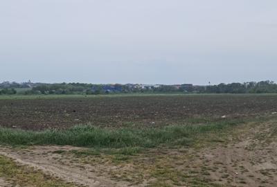 Teren de vanzare Lazu zona Logistic Park - 6