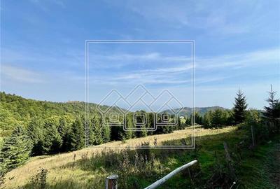 Teren agricol extravilan de 11200 mp, în Păltiniș