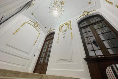 Vila - Gradina Icoanei - De Inchiriat - 4