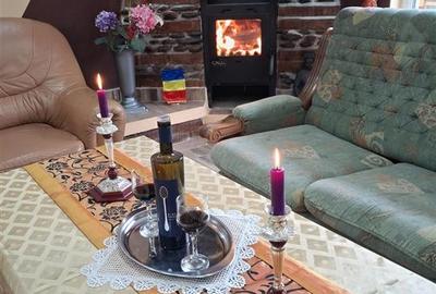 Oportunitate de investitie. Pensiune de vanzare la Vistisoara. - 23