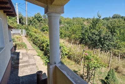 Casa in mediu rural cu teren - 19