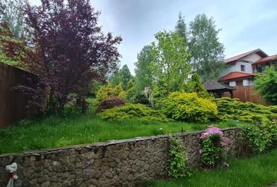 Vilă în Bârnova 260 mp utili, teren 1030 mp D+P+E+M, complet mobilată și LIBERA - 6