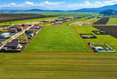 FILM! 700 mp teren intravilan, recomandat constructie casa/ investitie, Cristian - 2