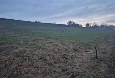 De vanzare teren 1,2 Ha in Laureni - 4