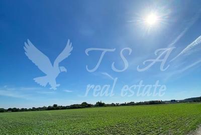 Teren Intravilan 825mp Cu dubla deschidere si Drum de servitute, Dascalu  Ilfov - 3