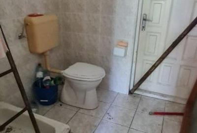 Teren intravilan 10.000mp cu utilitati, imprejmuit, Loc. Sanleani langa Amatex - 16