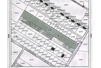 Teren 1Ha ( 10.000 MP ) & Alte loturi 400 - 600 mp | Oportunitate Investitie - 4