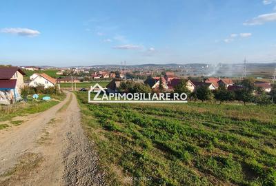 Teren intravilan 2248 mp - Nazna - 6