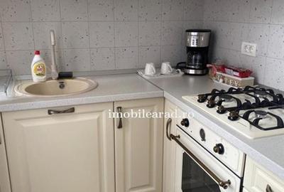 Apartament 60 Euro pe zi, amenajat in stil unic langa Primaria Arad - 11