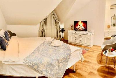 VILA/Casă ULTRACENTRAL IASI - 1500 EURO - 3