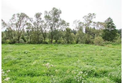 Casa deosebita cu gradina generoasa Vladeni - 22