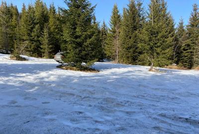 Teren 5000 mp in Baisoara, langa pensiunea Skiland si cabana Merlin! - 1