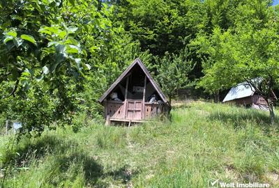 Casa de vacanta, cu lac, 5640 mp teren, Huta, com. Chiuiesti, jud. Cluj - 30