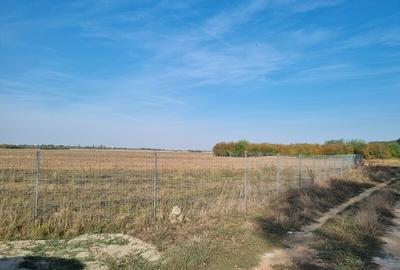 Vanzare Teren  Industrial Pantelimon Cernica 10000mp - 4