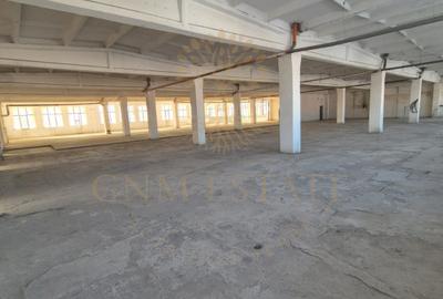 Vanzare Hala 3750 mp   sector 3 Drum intre Tarlale - 11