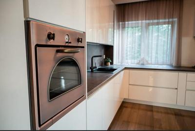 Casa individuala LUX, 240 mp, teren 500 mp, str. Dianei, Faget - 7