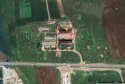 Hala industriala 1200 mp acces E85 Letcani - 1