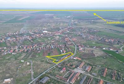 Spațiu industrial, 450 mp în Pişchia