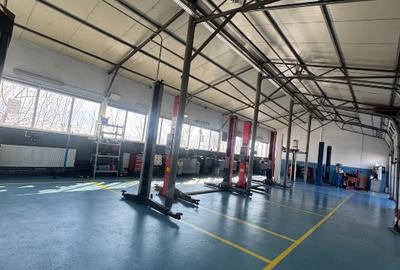 Vand  proprietate ideala pt logistica,, spatii depozitare, productie - 14