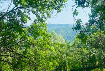 Teren superb Valea Doftanei (Teșila) – vedere panoramică, toate utilitățile - 4