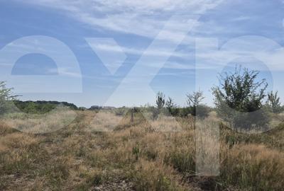Teren intravilan de vânzare in Trivale - zona Magic | 500 mp - 2