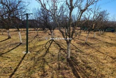Vila de vanzare la Cornu de Jos - Zona Centrala - 26