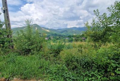 Teren de vanzare in Baia Sprie: 52 Ari, Parcelabil, Comision 0% - 4