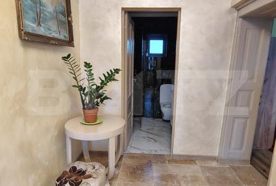 Proprietate cu 2 case, una fiind tradițională, Dezmir - 4