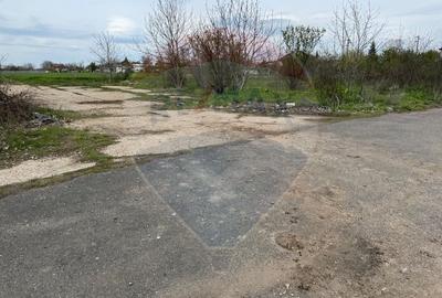 Teren cu PUZ aprobat –  Destinație logistică, industrială și servicii - 13