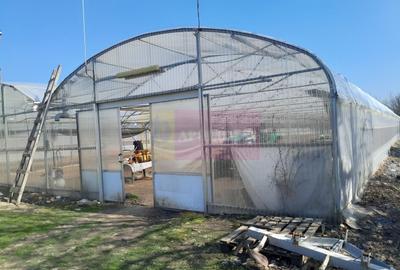 VANZARE TEREN 3100 MP - SAT ROSIORI (IL) - 11