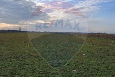 Teren 5,700mp Santion / None - 3