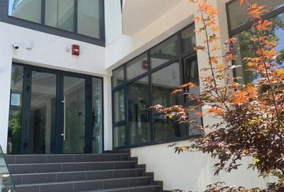 PIATA VICTORIEI - Titulescu inchirieri birouri 25 mp si 23 mp - 5