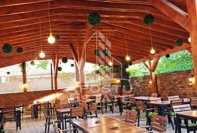Afacere la cheie, in apropierea Castelului Corvinilor in Hunedoara - 25