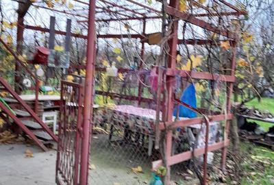BARCANESTI -  casa +curte+teren 16k mp - 8