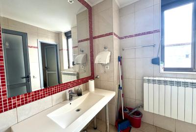 Business Hub Petre Ispirescu - 6 camere - 18