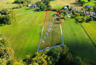 Teren 5,600mp Finteusu Mic / Strada Principala - 1