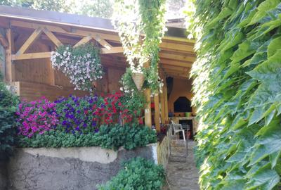 Floreasca / Casa Individuală cu 4 Apartamente - Birouri / Parcare + Curte / 2021 - 14