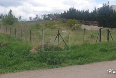 Teren Construcții intravilan de 1339 mp, în Europa