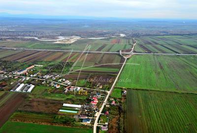 Teren intravilan curti-constructii, industrial, Autostrada A1 - km 62 - 11
