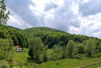 Ultimul teren intravilan Valea Măierușului | PUZ turistic aprobat | COMISION 0% - 4