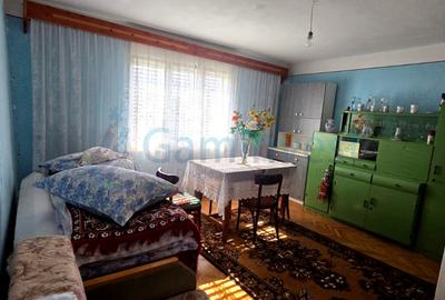 Casa la tara de vanzare in Cosdeni, Bihor - 3