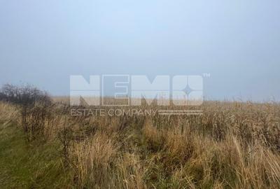 TEREN EXTRAVILAN | DOUA PARCELE 2.84 HA| DARMANESTI - 6