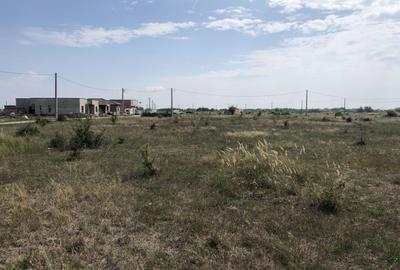 Teren Mosnita Noua, zona Albina - 4