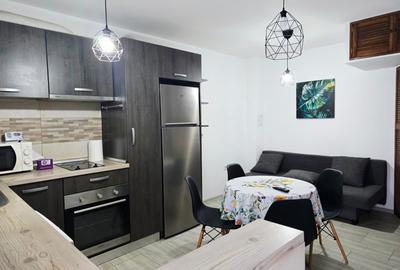 Studio 2 nivele 42mp, utilat si mobilat, curte 11mp, parcare - 1