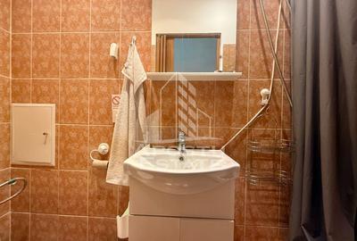 Apartament o camera, 30mp, balcon deschis, in Piata Victoriei - 4