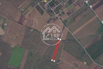 Teren Intravilan 20.000 mp Creața Dascălu, T66– dubla deschidere - 2