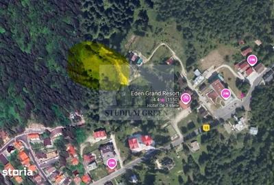 Teren Construcții intravilan de 7059 mp, în Vest