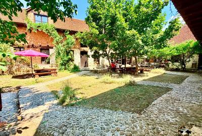 CASA THEA | INVESTIȚIE ÎN TURISM, GASTRONOMIE ȘI EXPERIENȚE | SOCOLARI - 3