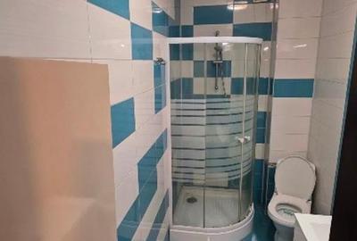 Inchiriere Apartament 1 Camere Bloc Nou Crangasi - 7